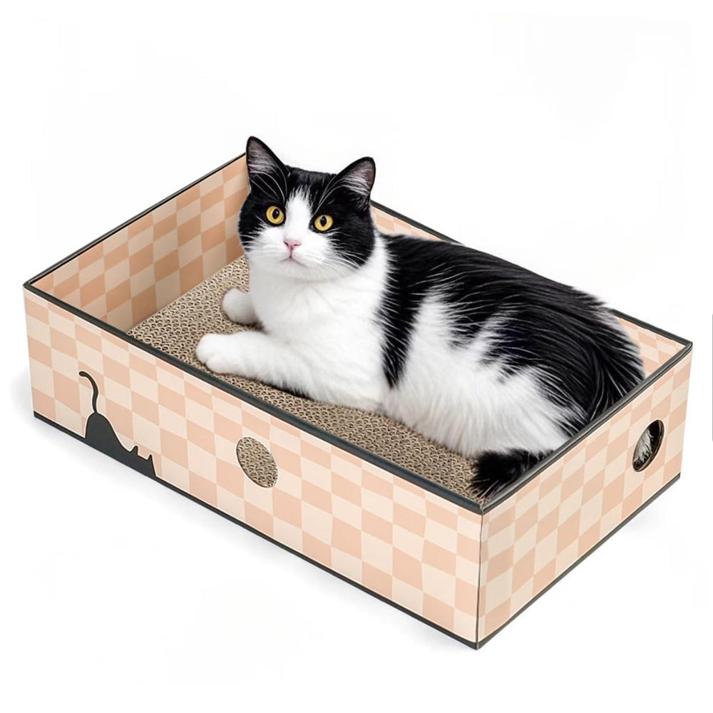 Conlun Caja Rascador Gatos - vista superior de tres capas para descanso.