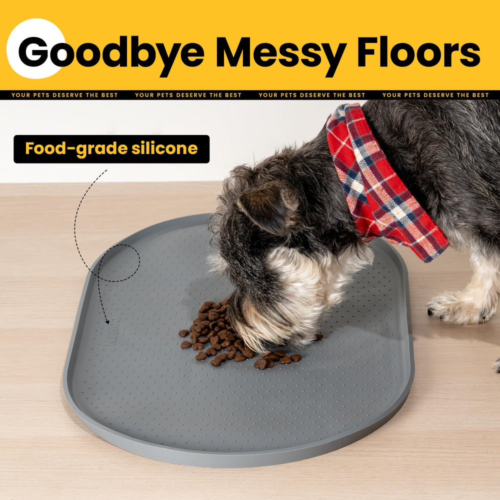 Diseño versátil de Conlun para gatos y perros en casa.