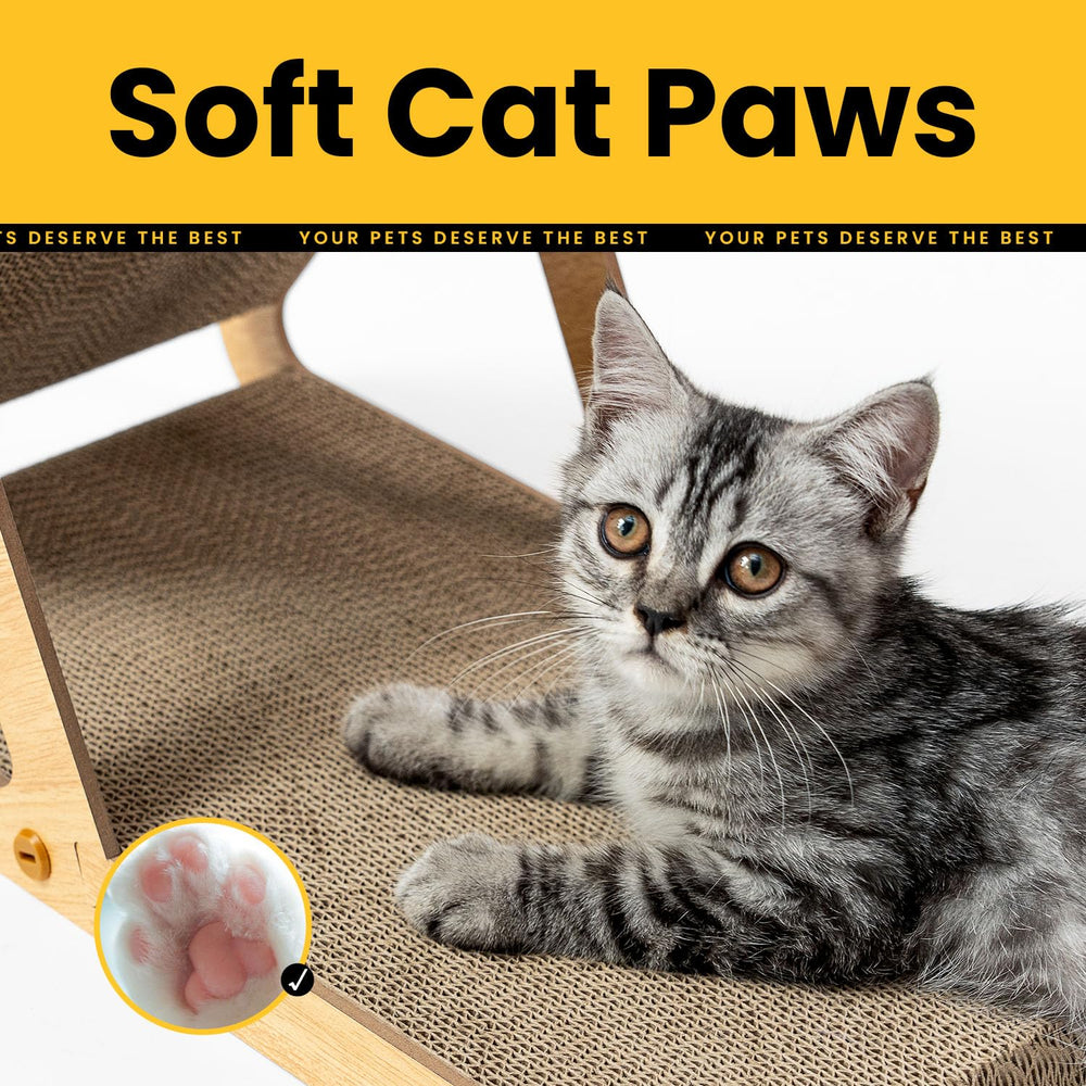 Conlun montaje sencillo en minutos para gatitos curiosos