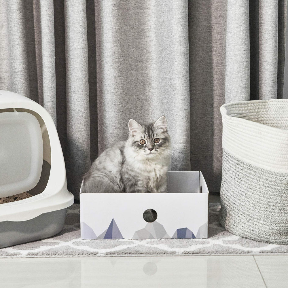 Conlun talla grande para gatos de hasta 9 kg, uso estable.