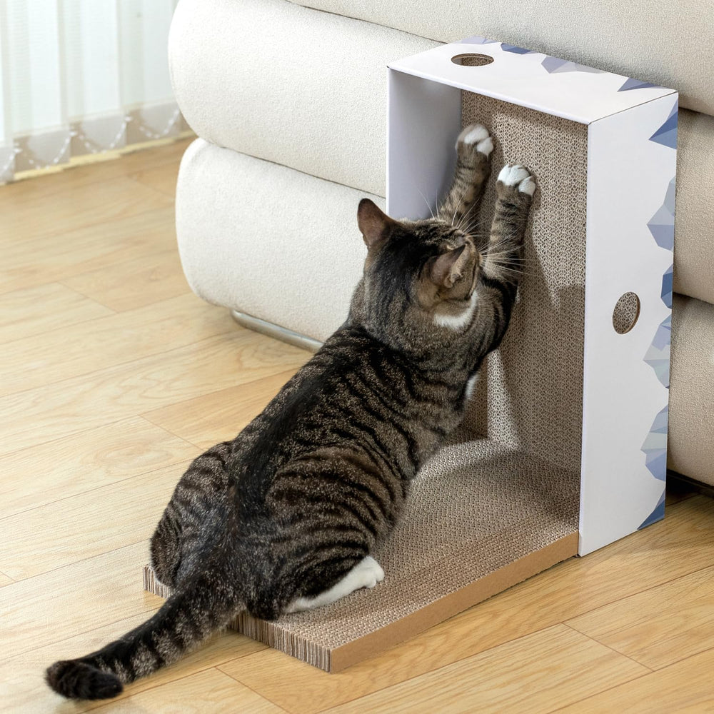 Conlun uso para varios gatos en el hogar