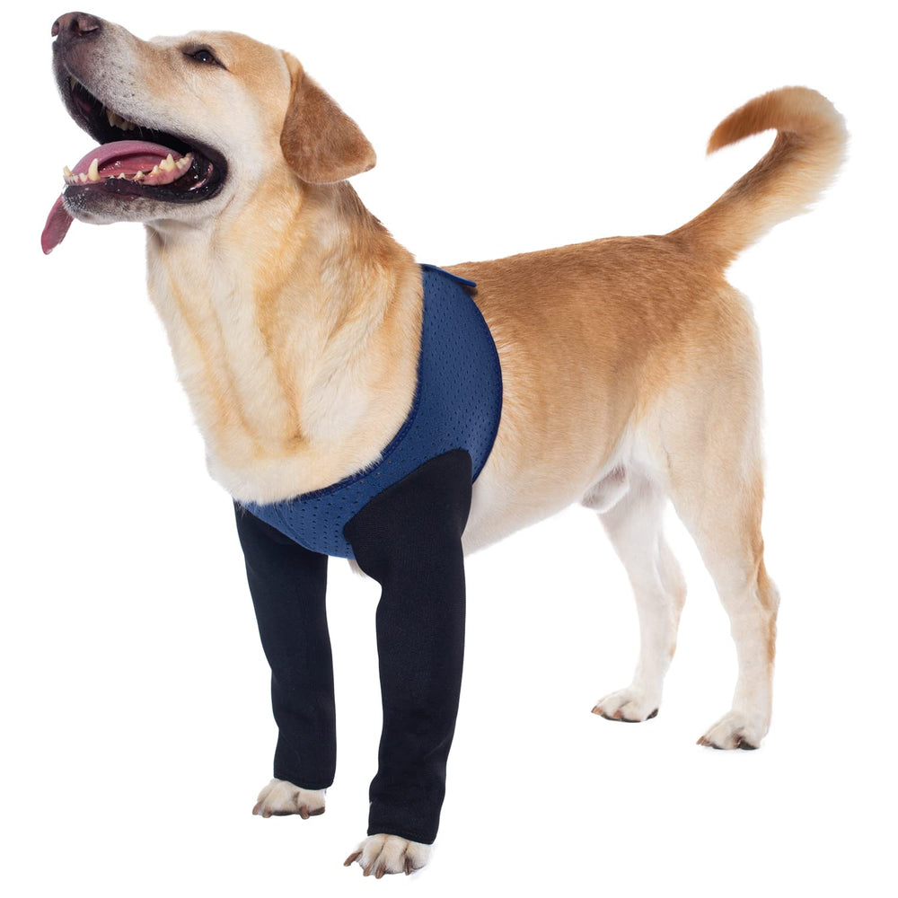 Coodeo alternativa al collar cono, protege la zona tratada durante la actividad.