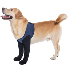 Calcetines COODEO para patas delanteras: protección estable al caminar