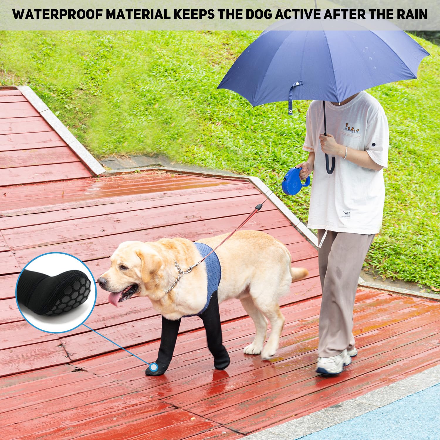 Diseño impermeable COODEO mantiene las patas secas
