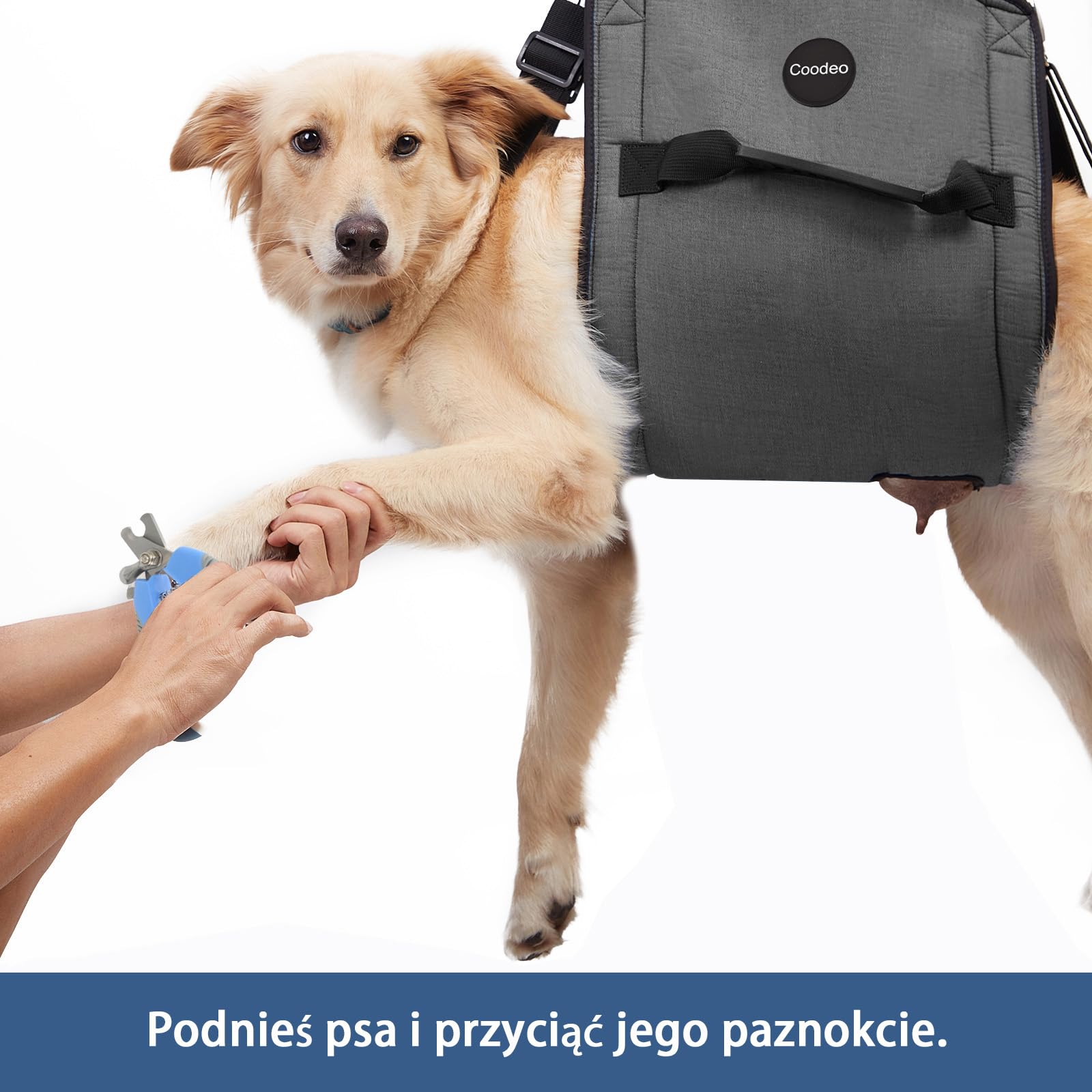 COODEO Portador para perros XL diseño negro para uso diario.