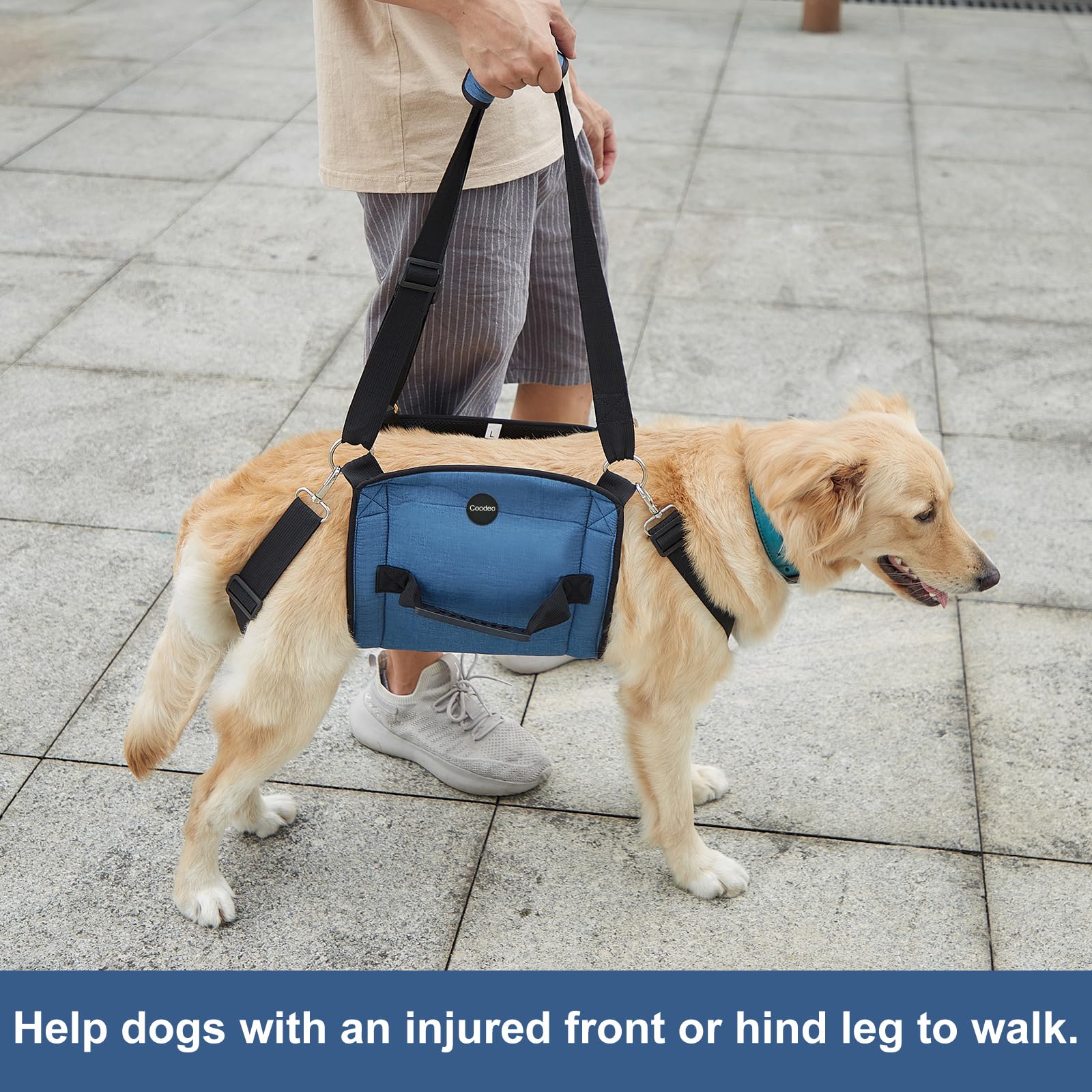 COODEO sling para rehabilitación y movilización canina en casa.