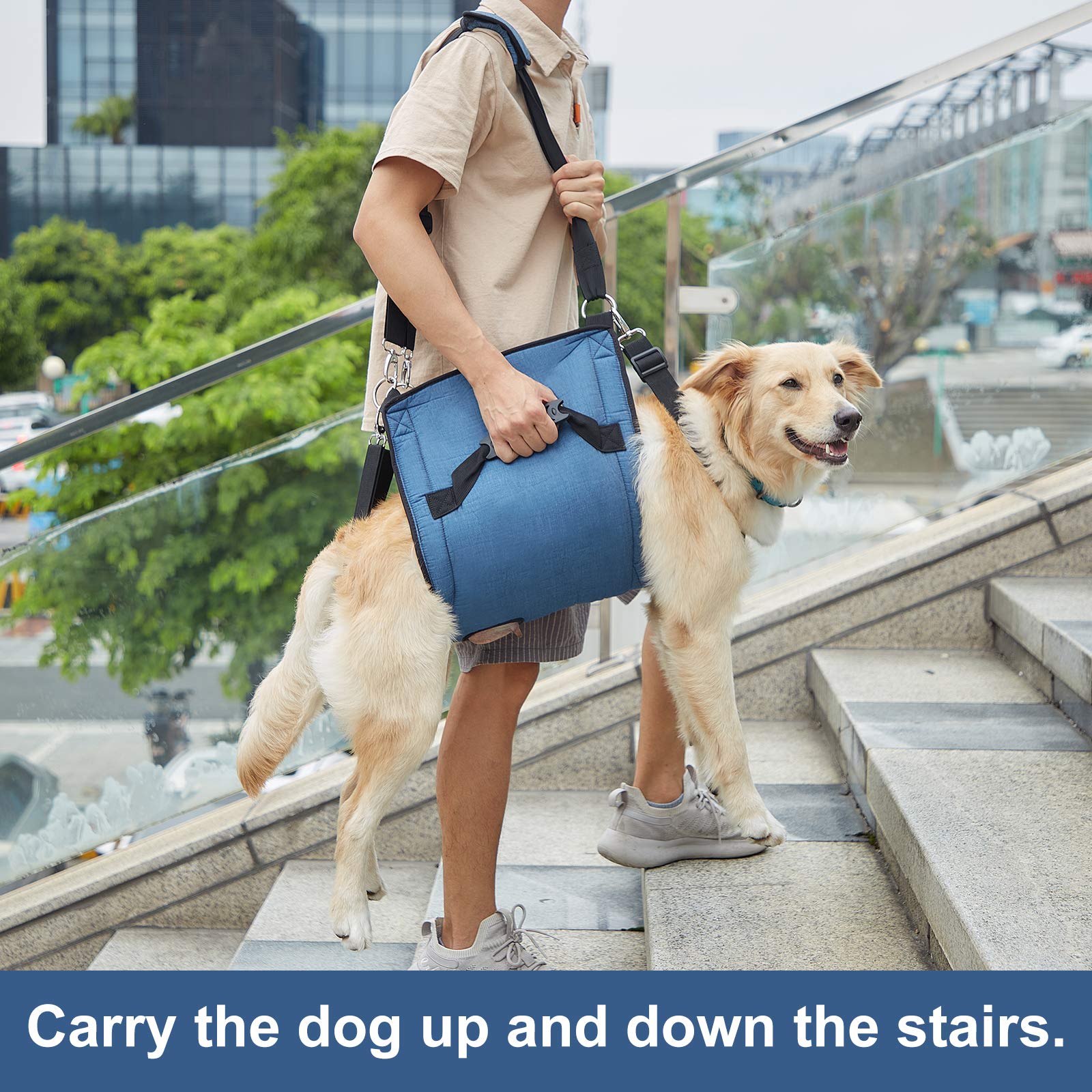 COODEO sling con soporte de cuerpo completo para paseos estables.