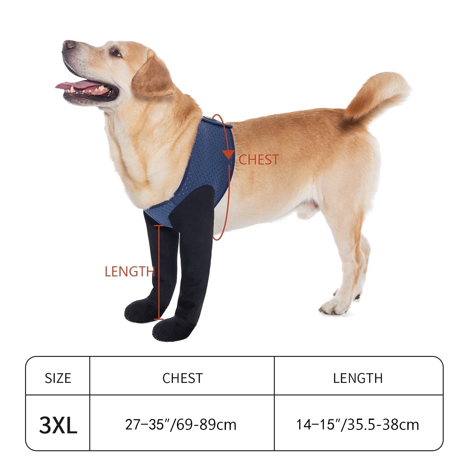 COODEO 3XL: talla grande para perros grandes