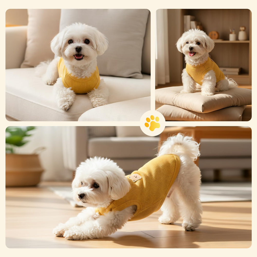Camiseta COOHAMS para perros, tejido transpirable que ayuda a mantener la piel fresca.