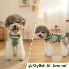 COOHAMS camiseta para perros rayas verde grande, diseño clásico versátil