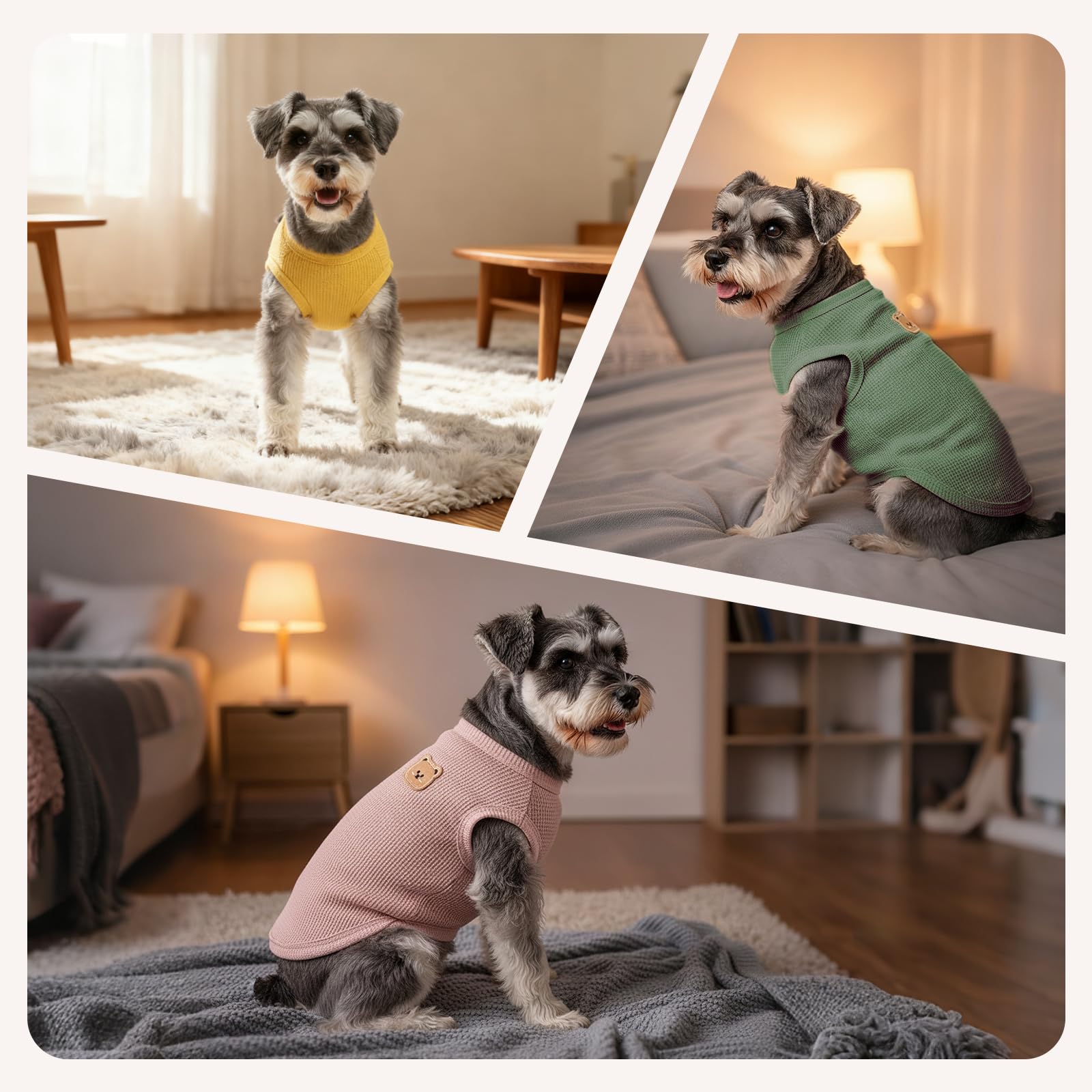Paquete COOHAMS de 3 piezas talla XL, variedad para perros.