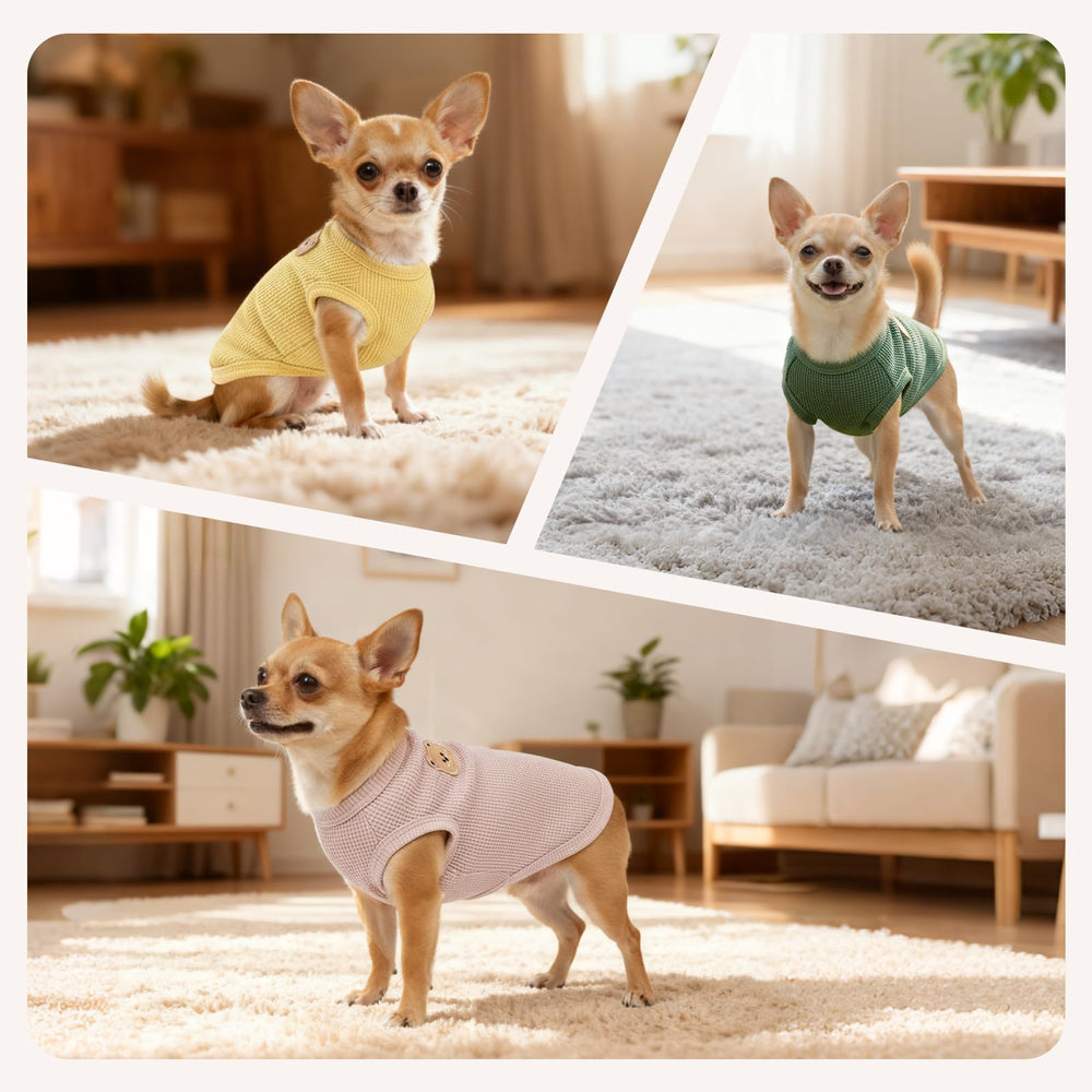 Camiseta COOHAMS para perro, parche oso adorable para estilo suave.