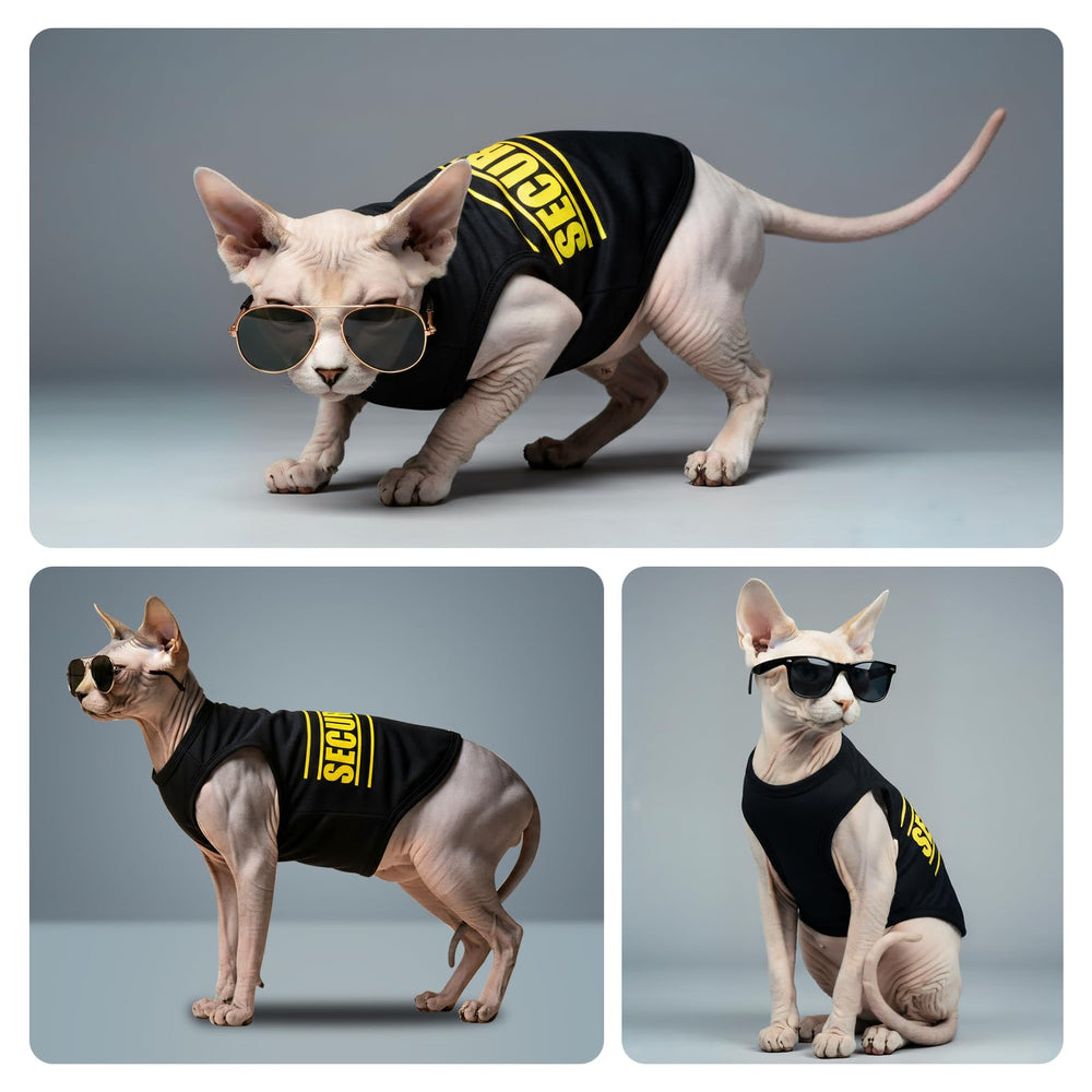 COOHAMS: conjunto de uso diario para perro, perfecto para paseos.