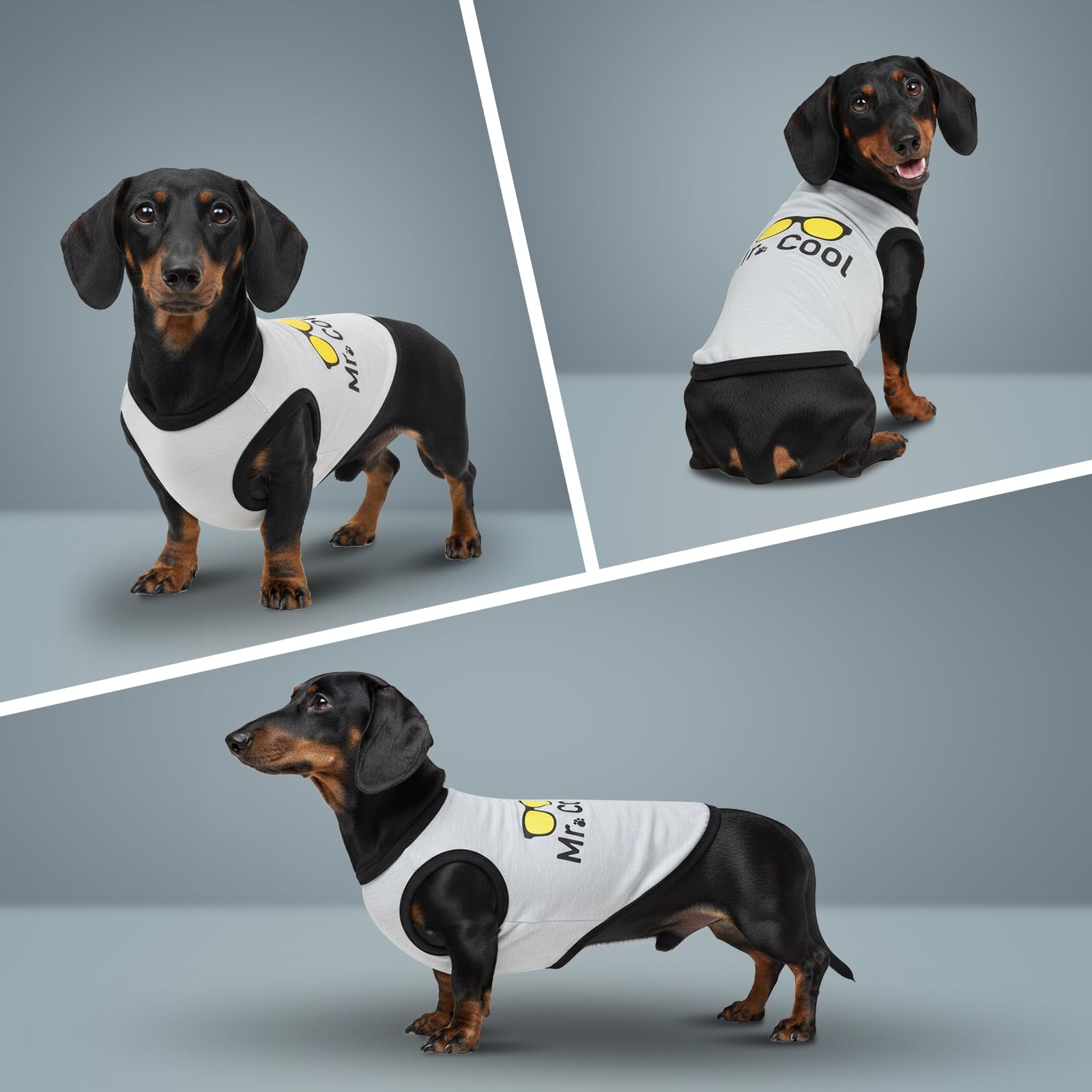 COOHAMS: cuidado fácil, lavado suave para camisetas de perro.