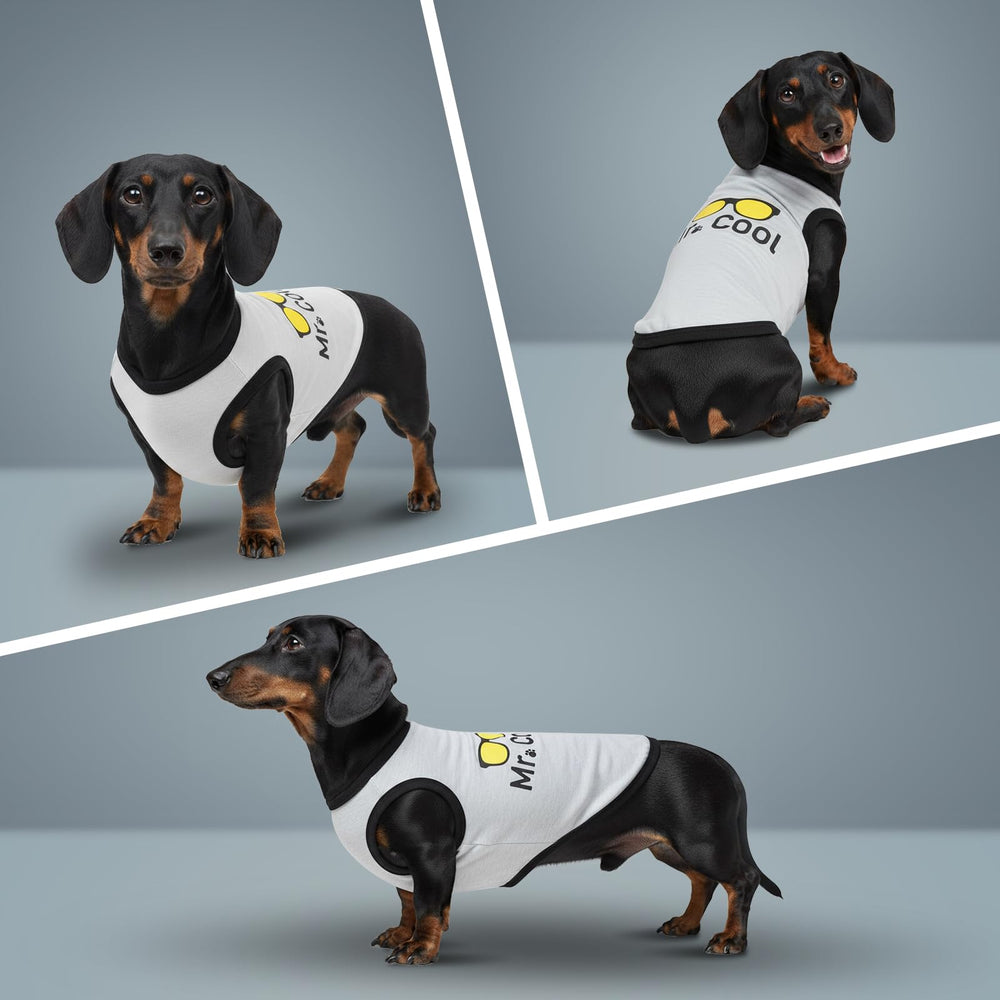 COOHAMS: cuidado fácil, lavado suave para camisetas de perro.