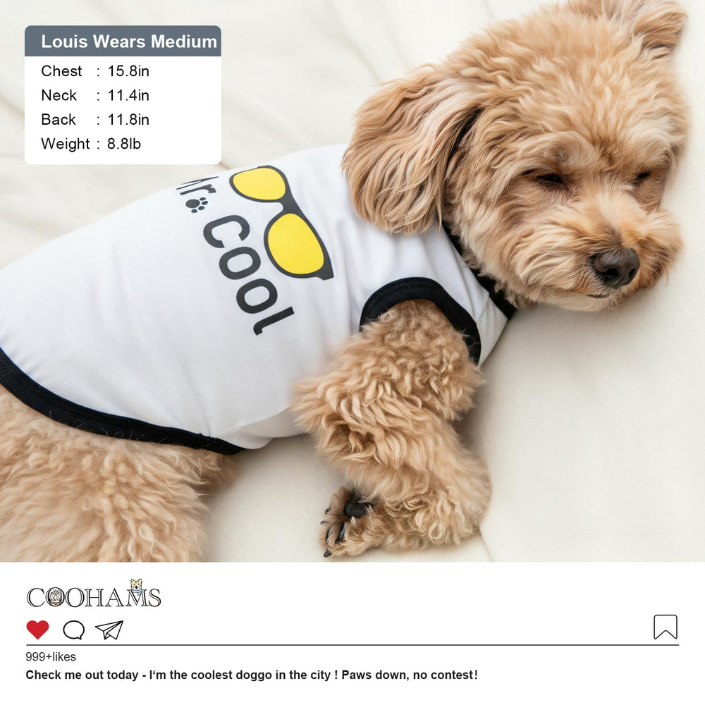 COOHAMS: guía de tallas para perros, ajuste fiable para perros pequeños y medianos.