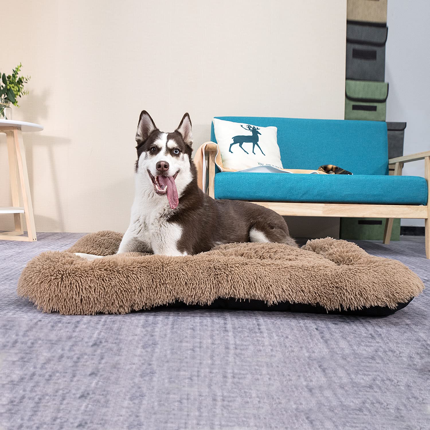 Cama Coohom lavable a máquina facilita la limpieza.