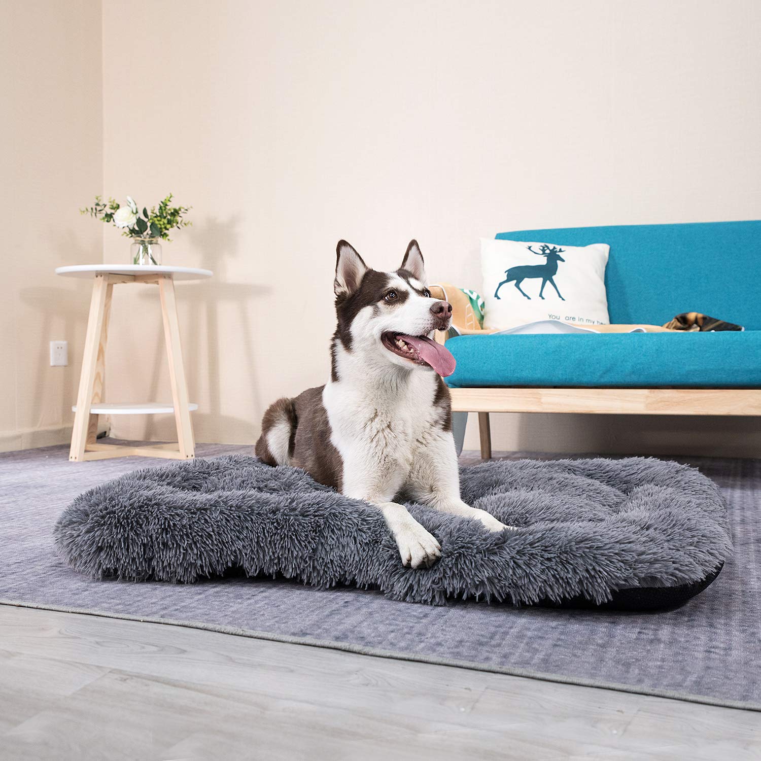 Lavable a máquina Coohom Plush Deluxe, limpieza sencilla.