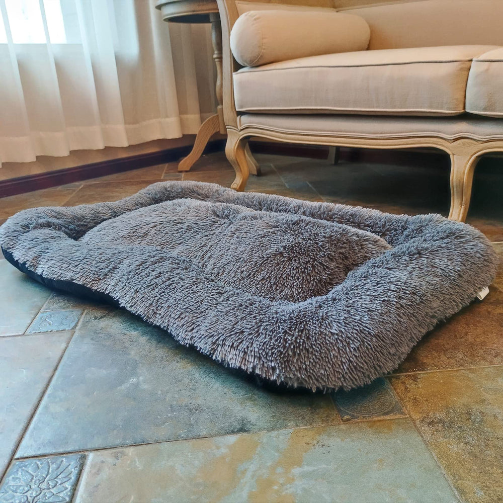 Perro descansando en la Coohom Plush Deluxe.
