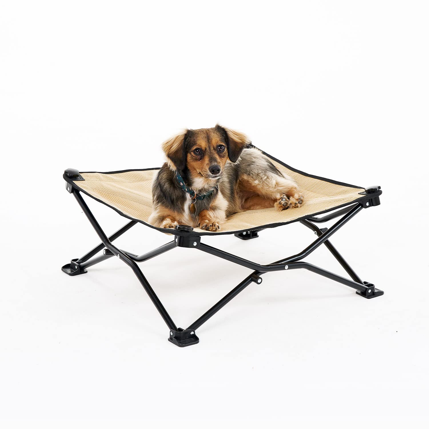 Coolaroo cama para perro elevada y desplegable, ideal para camping