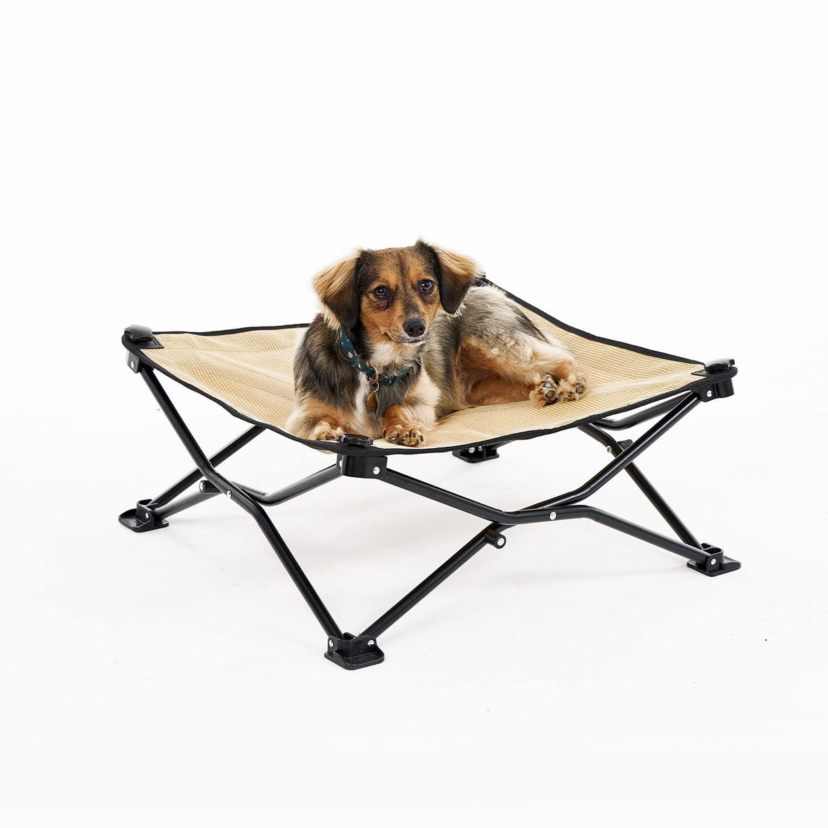 Coolaroo cama para perro elevada y desplegable, ideal para camping