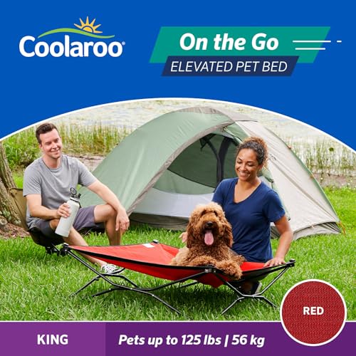Cama Coolaroo elevada para perros, marco ligero y tejido transpirable.