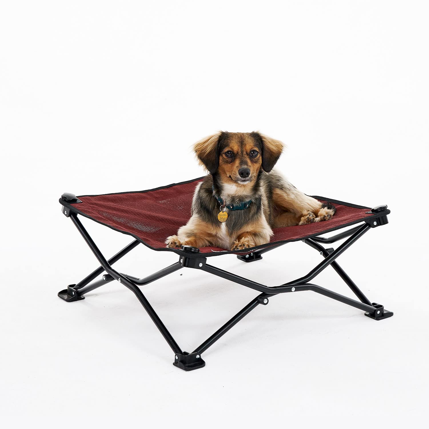 Coolaroo: cama elevada para perro, desplegable sin herramientas para acampar.