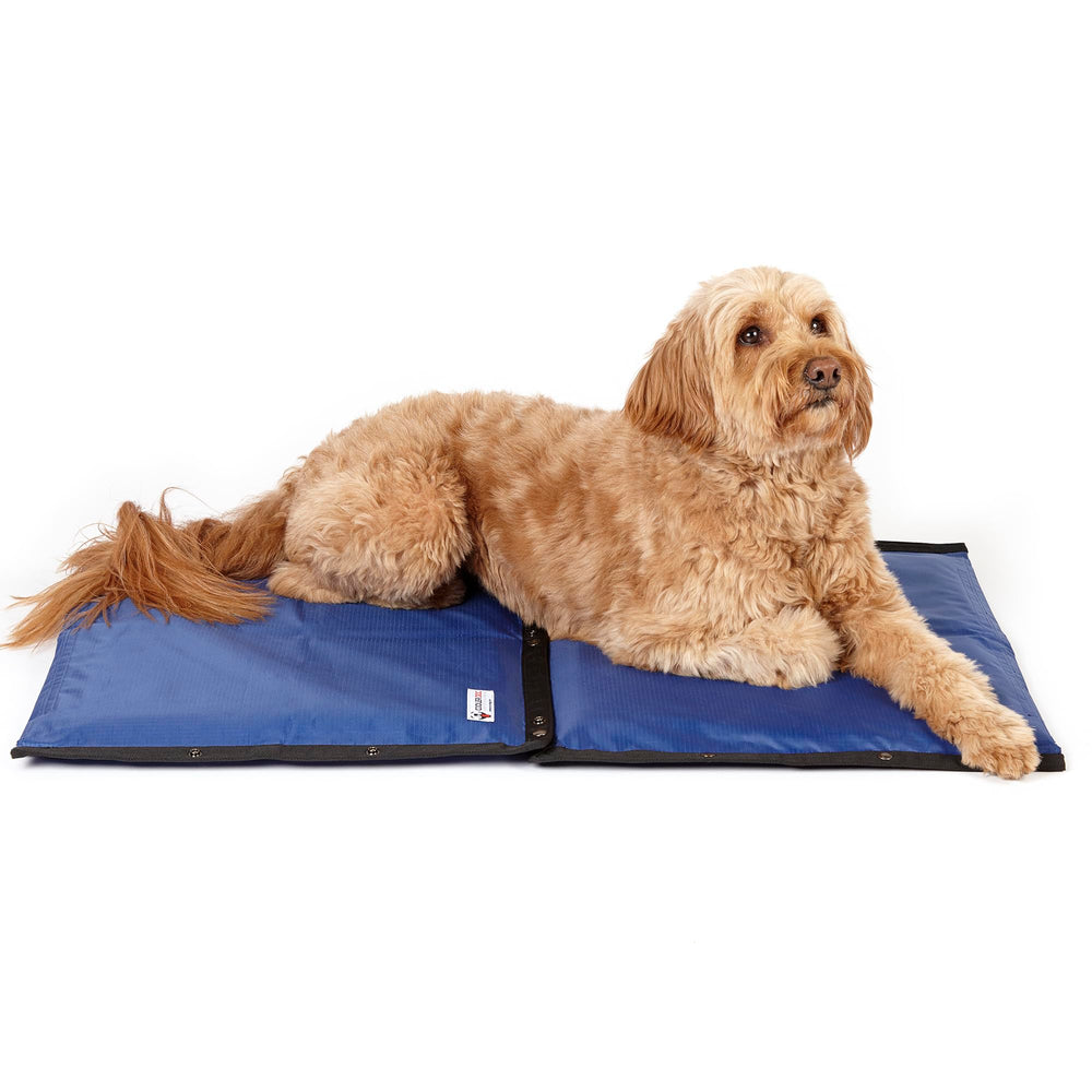 CoolerDog Hydro Cooling Mat: sistema modular para ampliar áreas de enfriamiento.