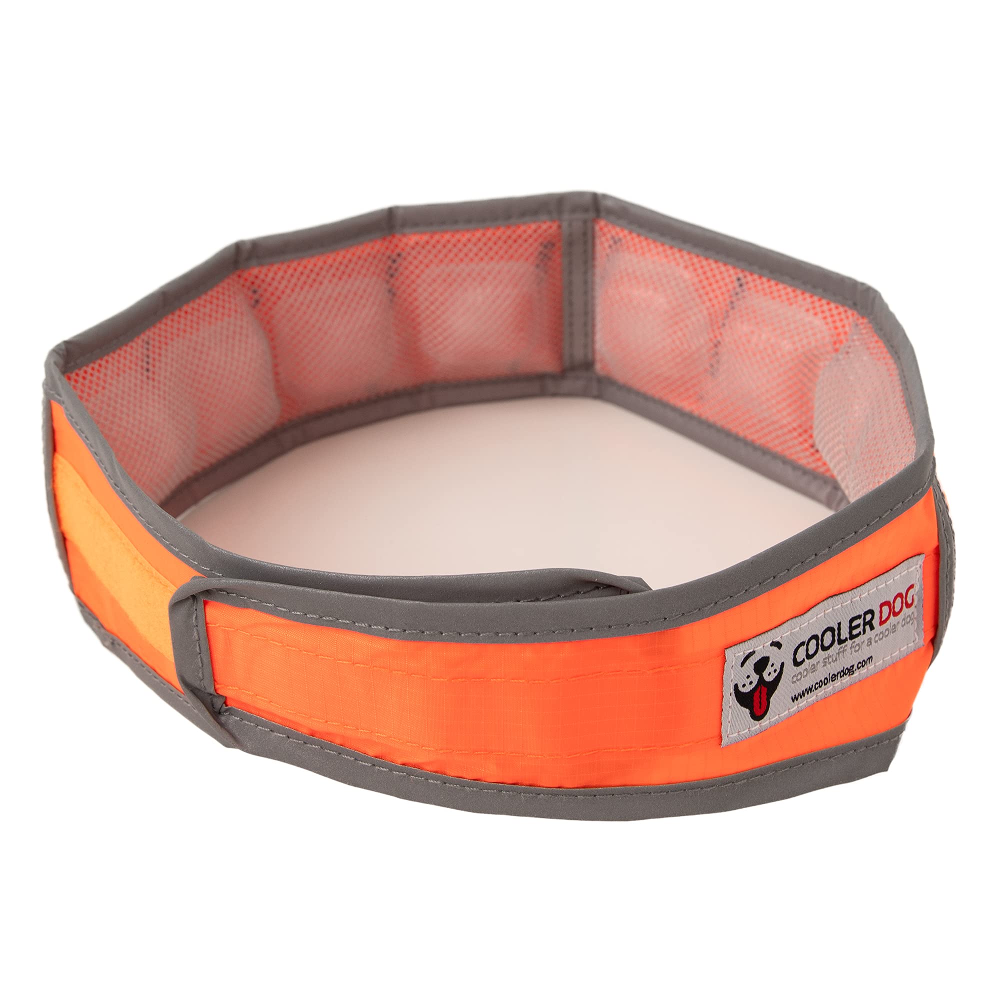 CoolerDog collar XL diseñado para perros grandes y robustos
