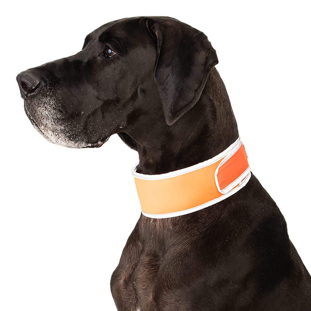 CoolerDog collar, tiras de hielo, enfriamiento gradual para perros activos