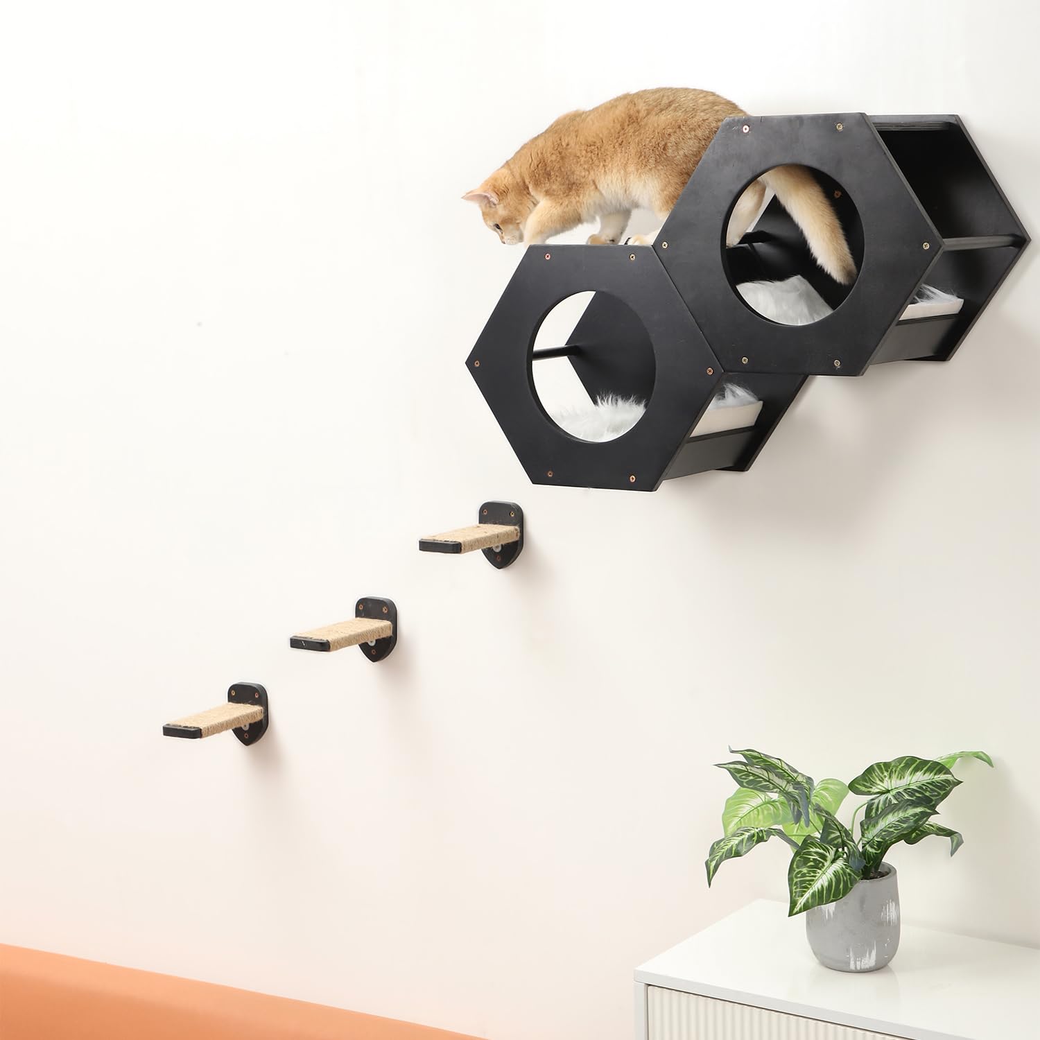 COOLEX escalón ergonómico: varios puntos de apoyo para trepar