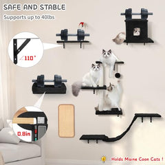 Coolsheepsia estantería en pared con puente, exploración vertical para gatos curiosos.