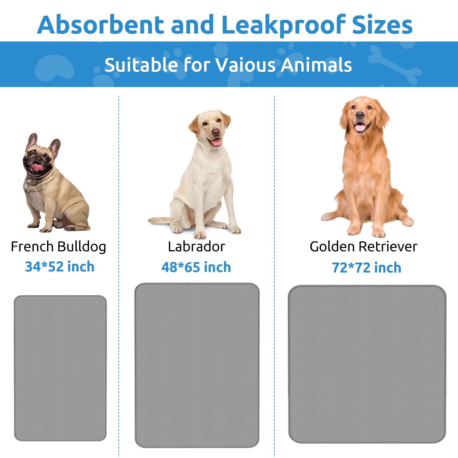 CoolShields antideslizante, ideal para perros pequeños en casa.
