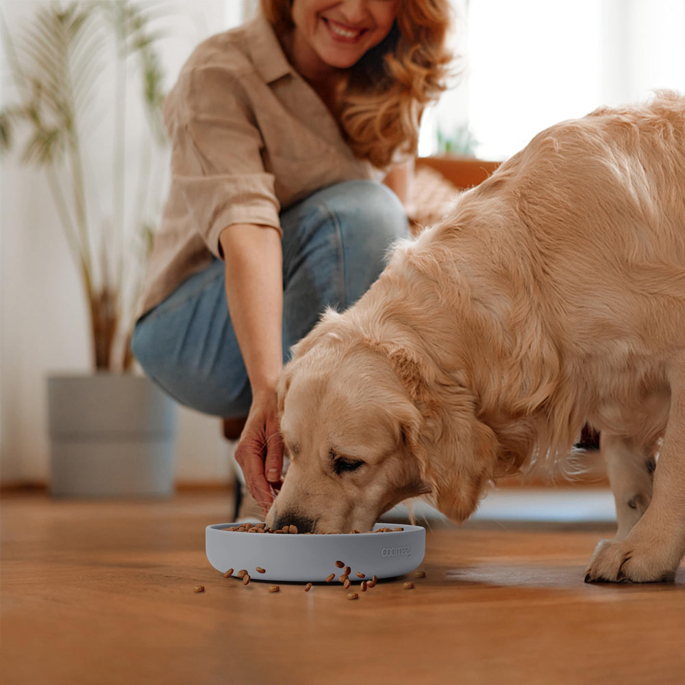 Coomazy tazón para perros y gatos con diseño interactivo