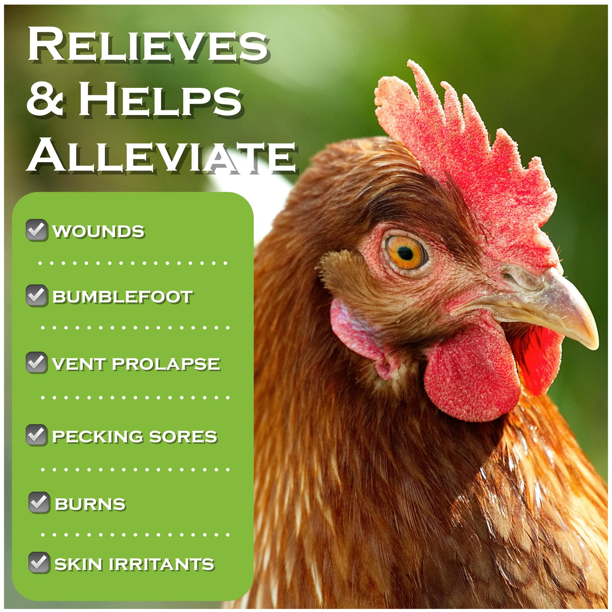 Coop Care facilita el cuidado de pododermatitis aviar con tratamiento suave.