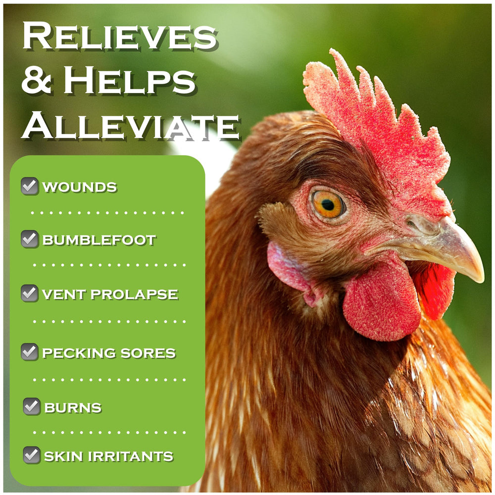 Coop Care facilita el cuidado de pododermatitis aviar con tratamiento suave.