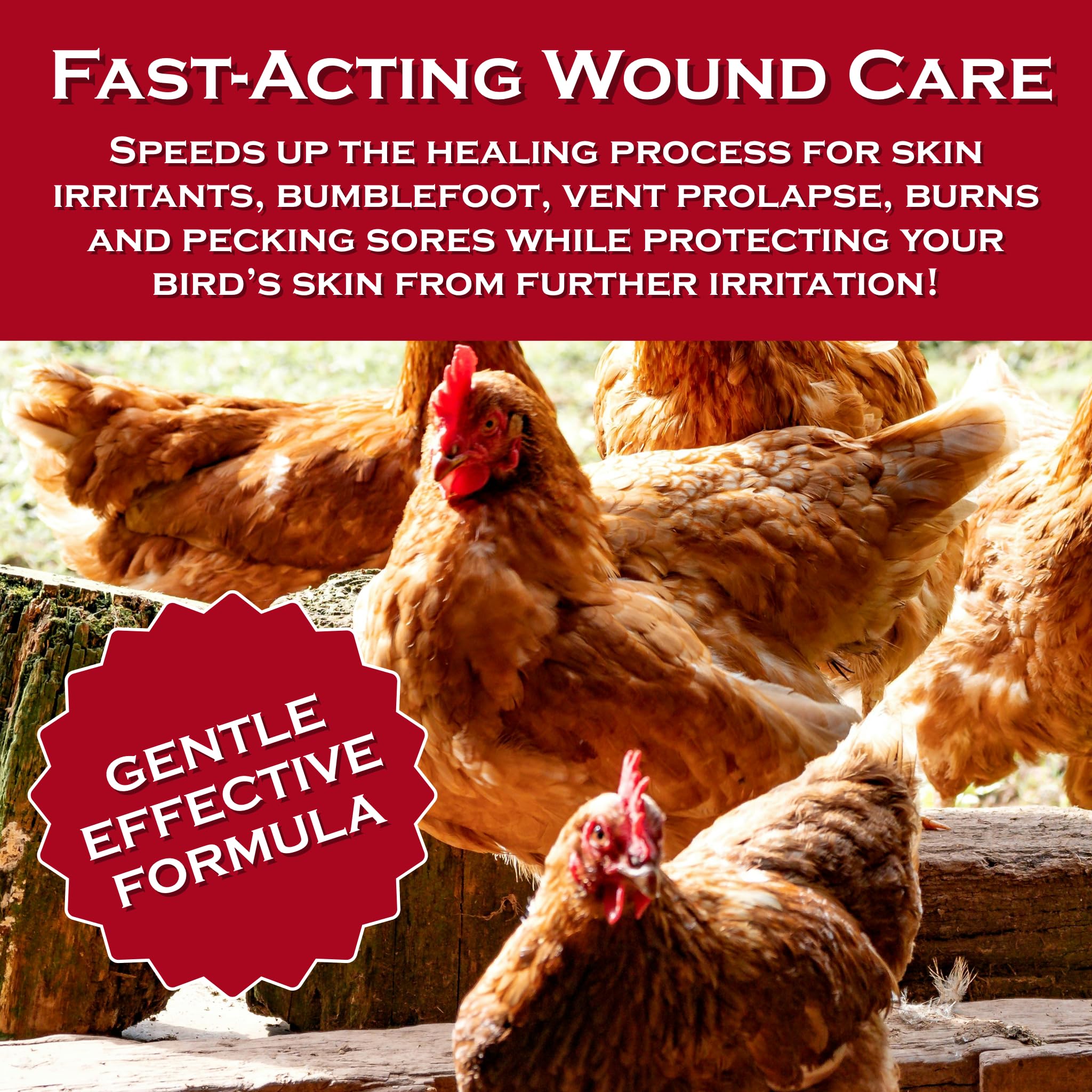 Coop Care combate heridas por picoteo sin necesidad de vendajes.