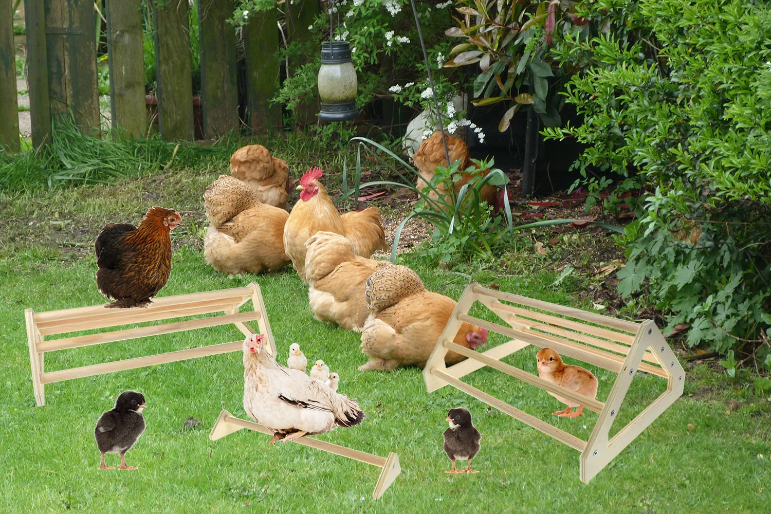 CooShou juguete percha para gallinero, promueve actividad y descanso seguro.