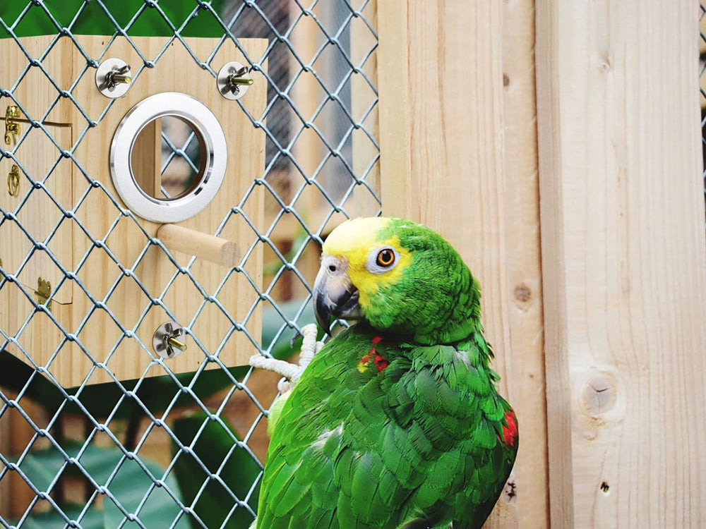 Nido CooShou para loro con accesorios y tornillos para instalación.