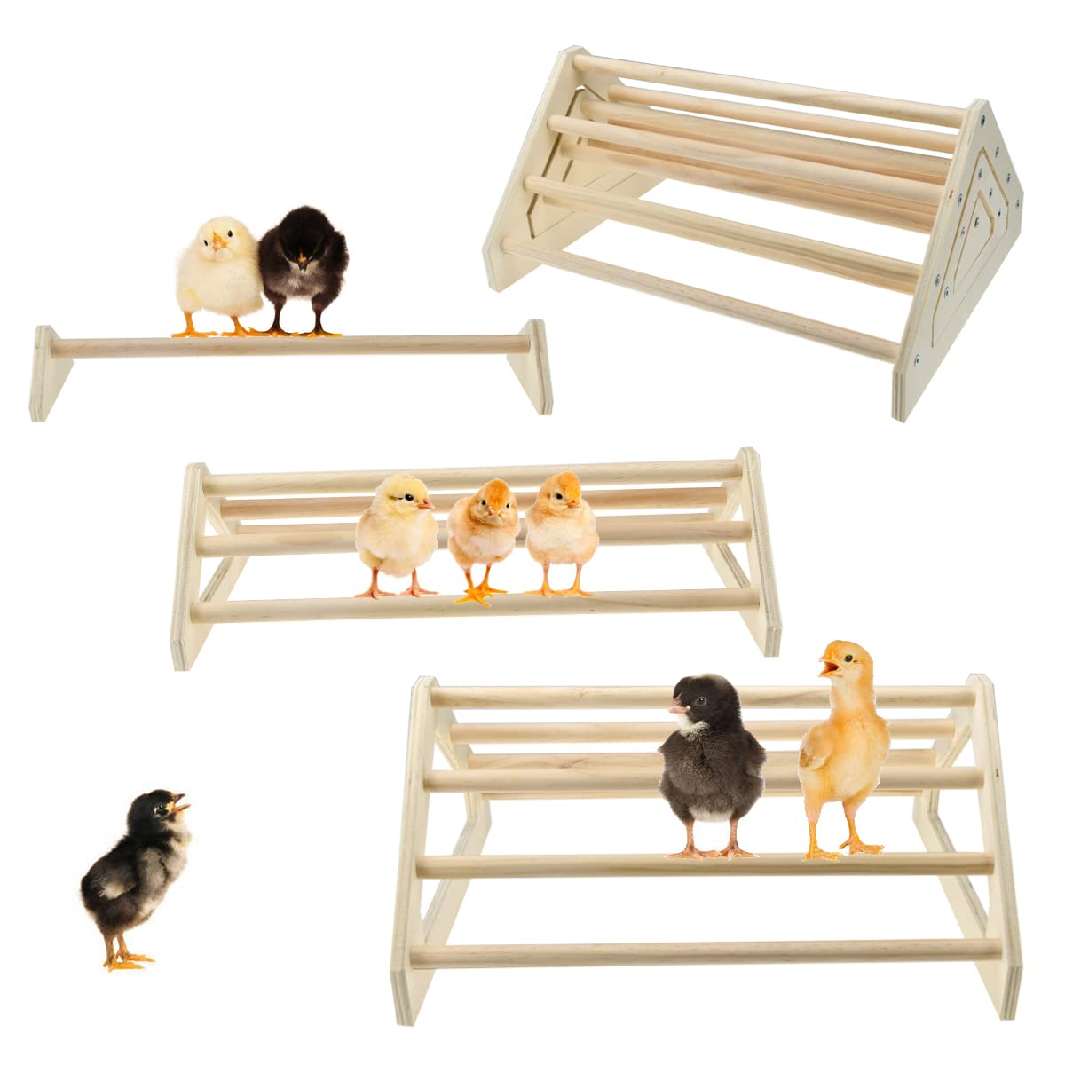 CooShou percha para pollitos 3 piezas, ideal para trepar y descansar.