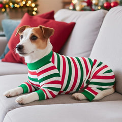 Diseño navideño de CooShou, perfecto para reuniones festivas.