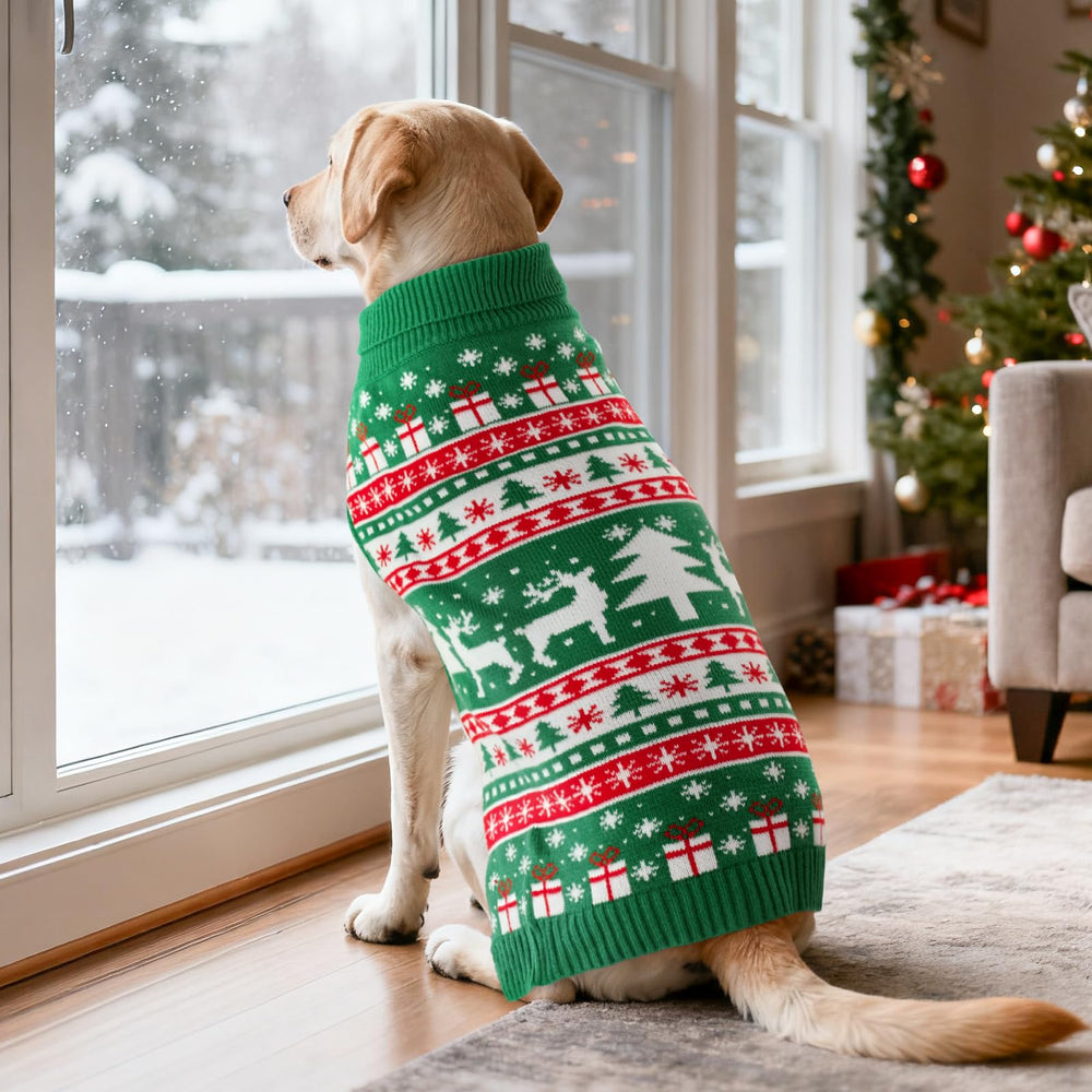 CooShou perfecto para sesiones de fotos navideñas en familia.