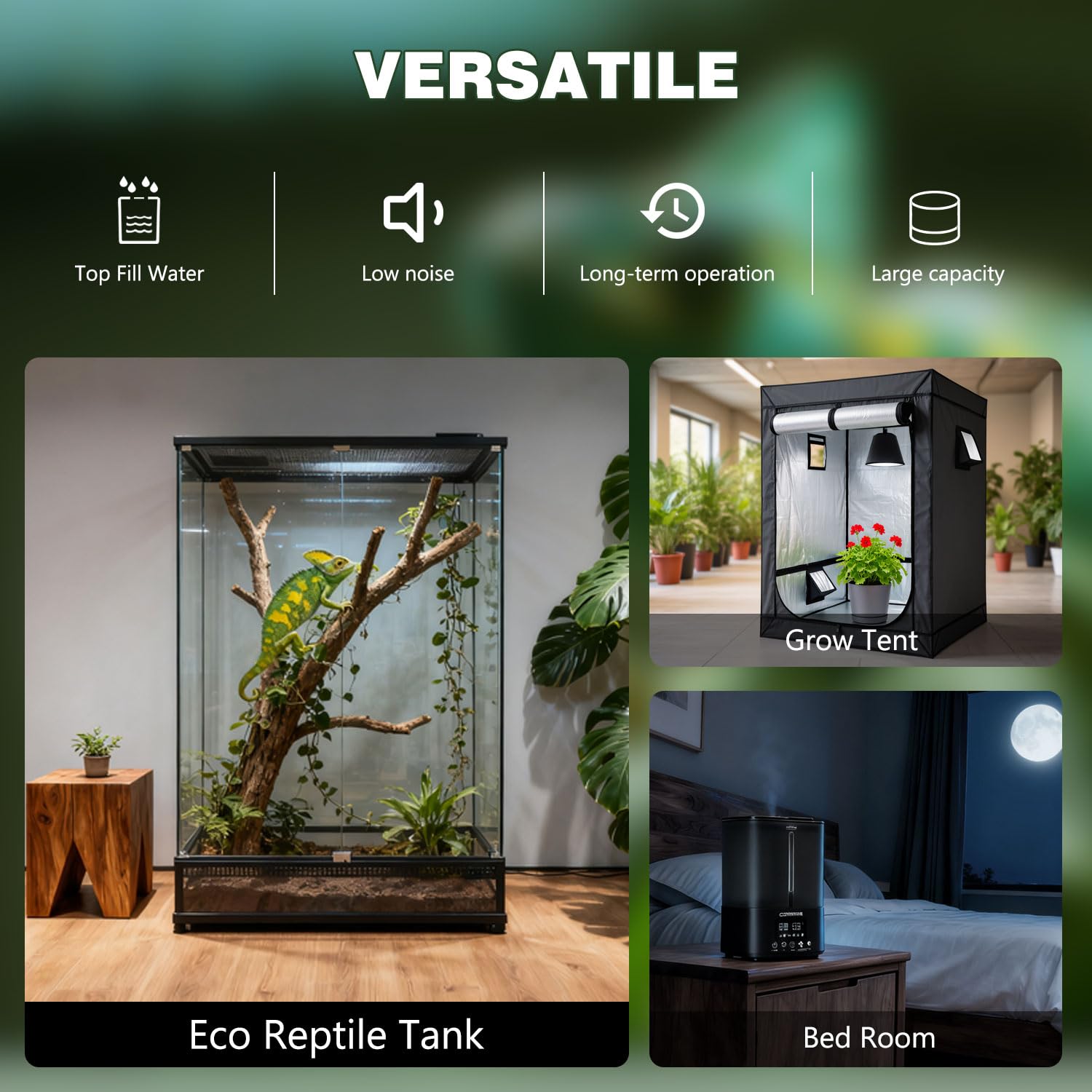 COOSPIDER humedad ajustable 45-90% para terrario saludable.