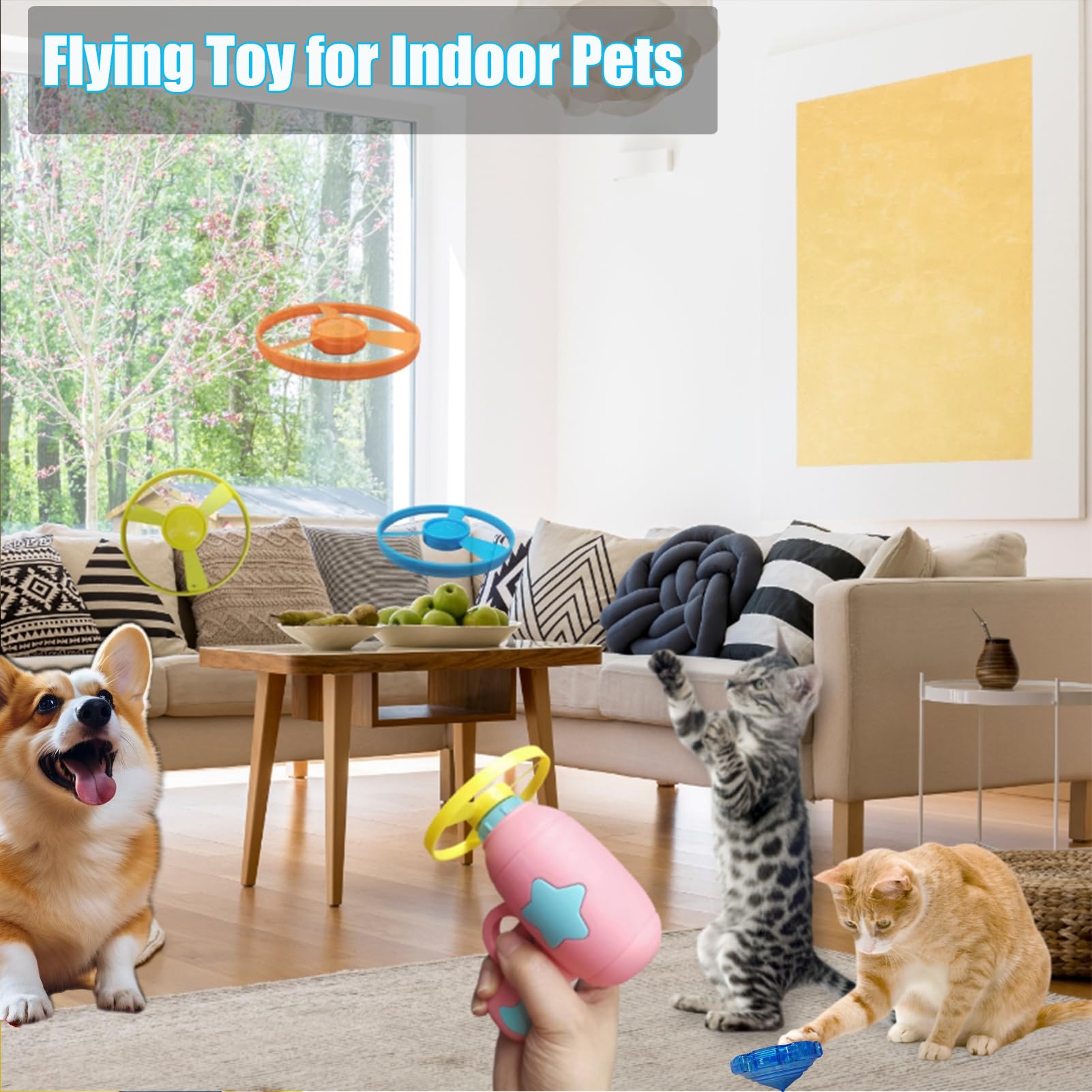 Cooway uso interior y exterior para gatos, promueve energía y agilidad.