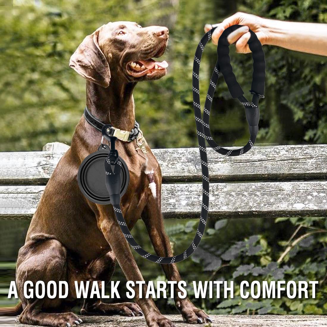 Cuerda COOYOO resistente de 6 pies para paseos seguros.