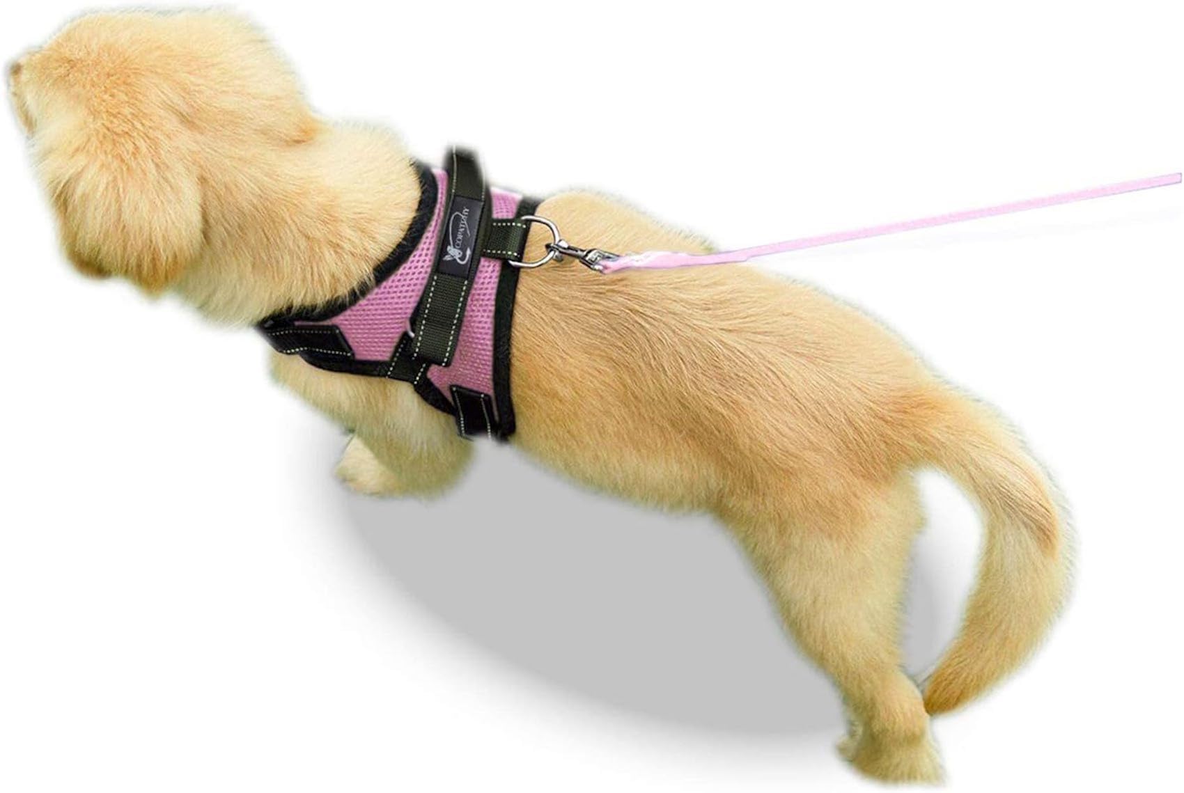 Copatchy arnés con asa ergonómica, control adicional durante entrenamientos.