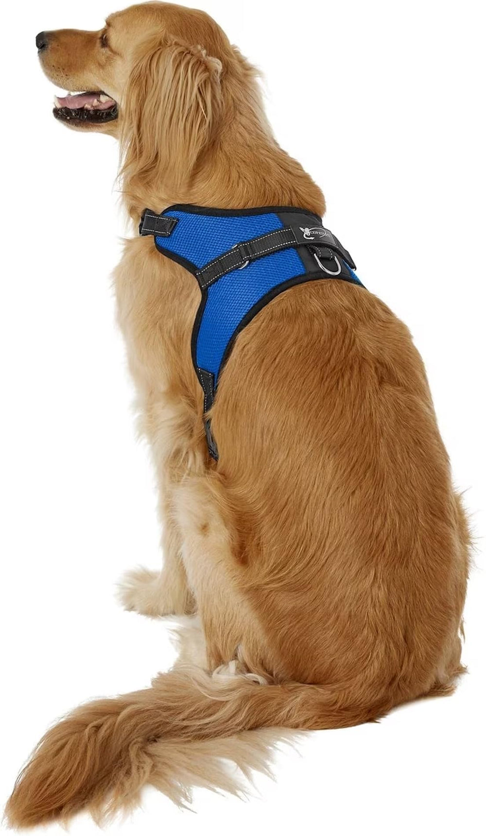 Copatchy arnés sin tirones reflectante azul extragrande para paseos nocturnos y seguros