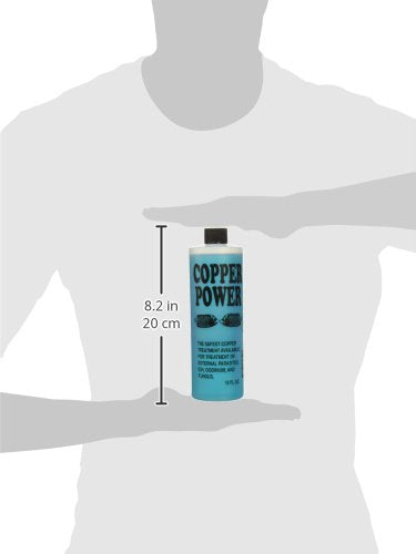 Copper Power Endich, empaque compacto, dimensiones de 1,0 pulgadas para acuarios marinos.