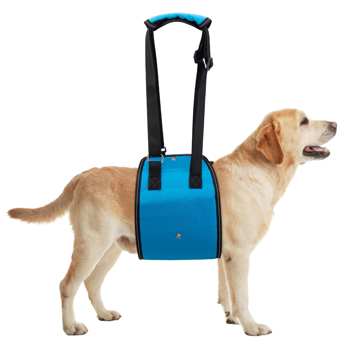 Coppthinktu arnés elevador para perros, vista frontal, soporte estable.