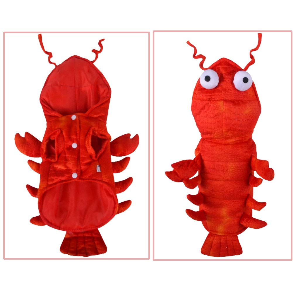 Disfraz langosta Coppthinktu para Halloween, ideal para dulces y fiestas.